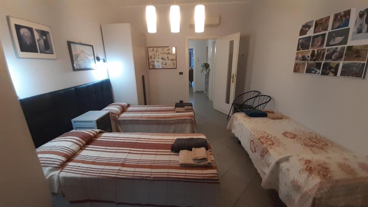 Metronear Apartment Коленьо Екстериор снимка